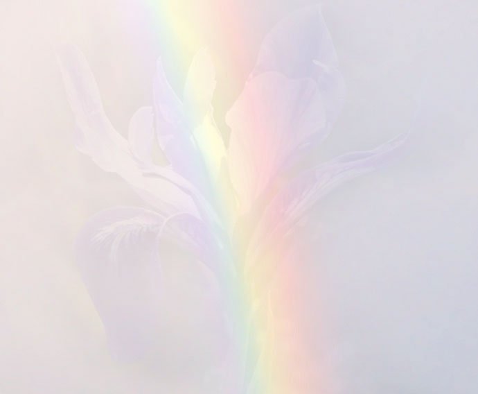 iris_rainbow_7